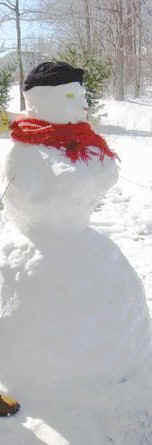 bustysnowwoman.jpg (16722 bytes)